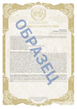 Образец Приложение к СТО 01.064.00220722.2-2020 Чудово Сертификат СТО 01.064.00220722.2-2020 